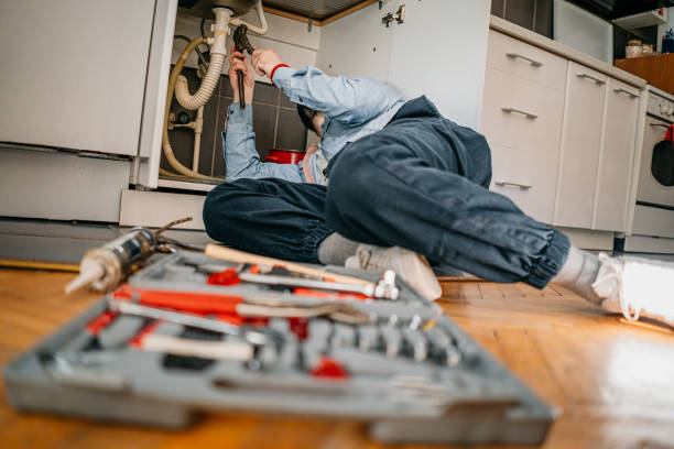 Best Emergency Plumber  in Desoto Lakes, FL