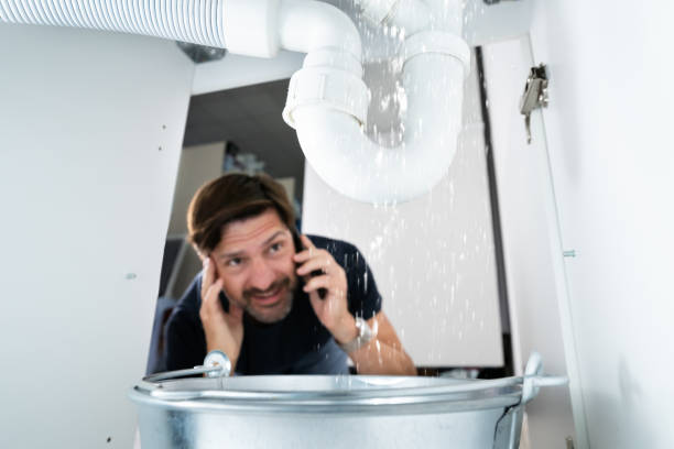 Best Affordable Plumber Near Me  in Desoto Lakes, FL