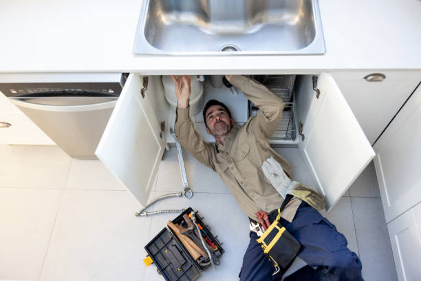Best Residential Plumbing Services  in Desoto Lakes, FL