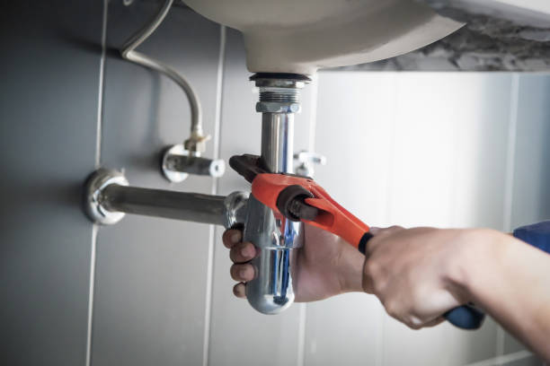 Best Best Plumbers Near Me  in Desoto Lakes, FL